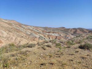 2026-07-07_08-42-00 (1)
